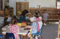 primary program