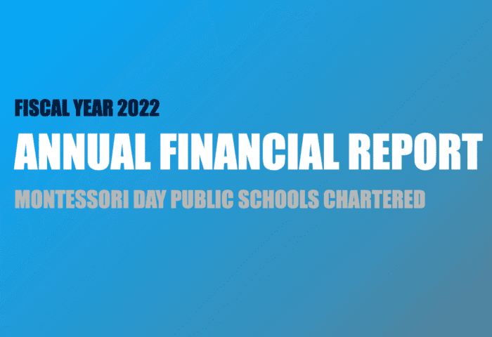 2022 annual financial report