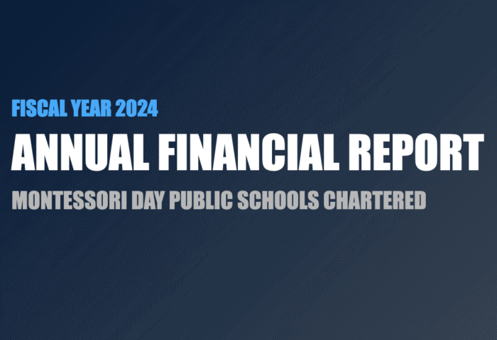 2024 annual finance report