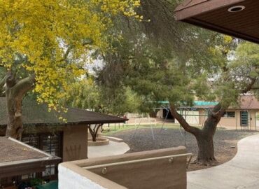 montessori-yellow-flowers