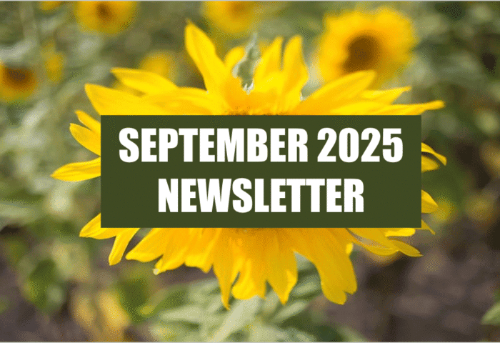 2025-09_montessori-newsletter