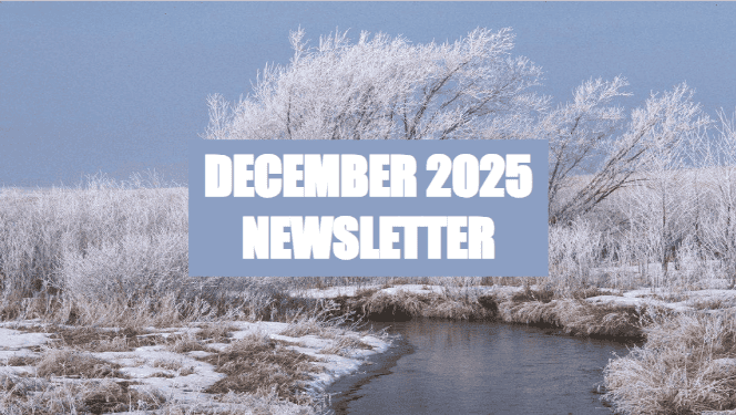 December-2025-Cover-Image