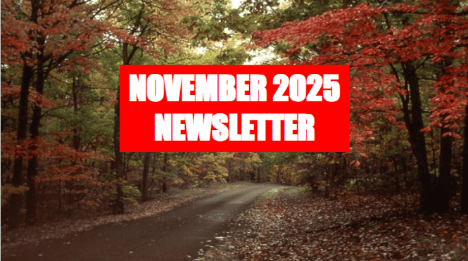 November-2025-Cover-Image