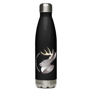 Stainless steel water bottle